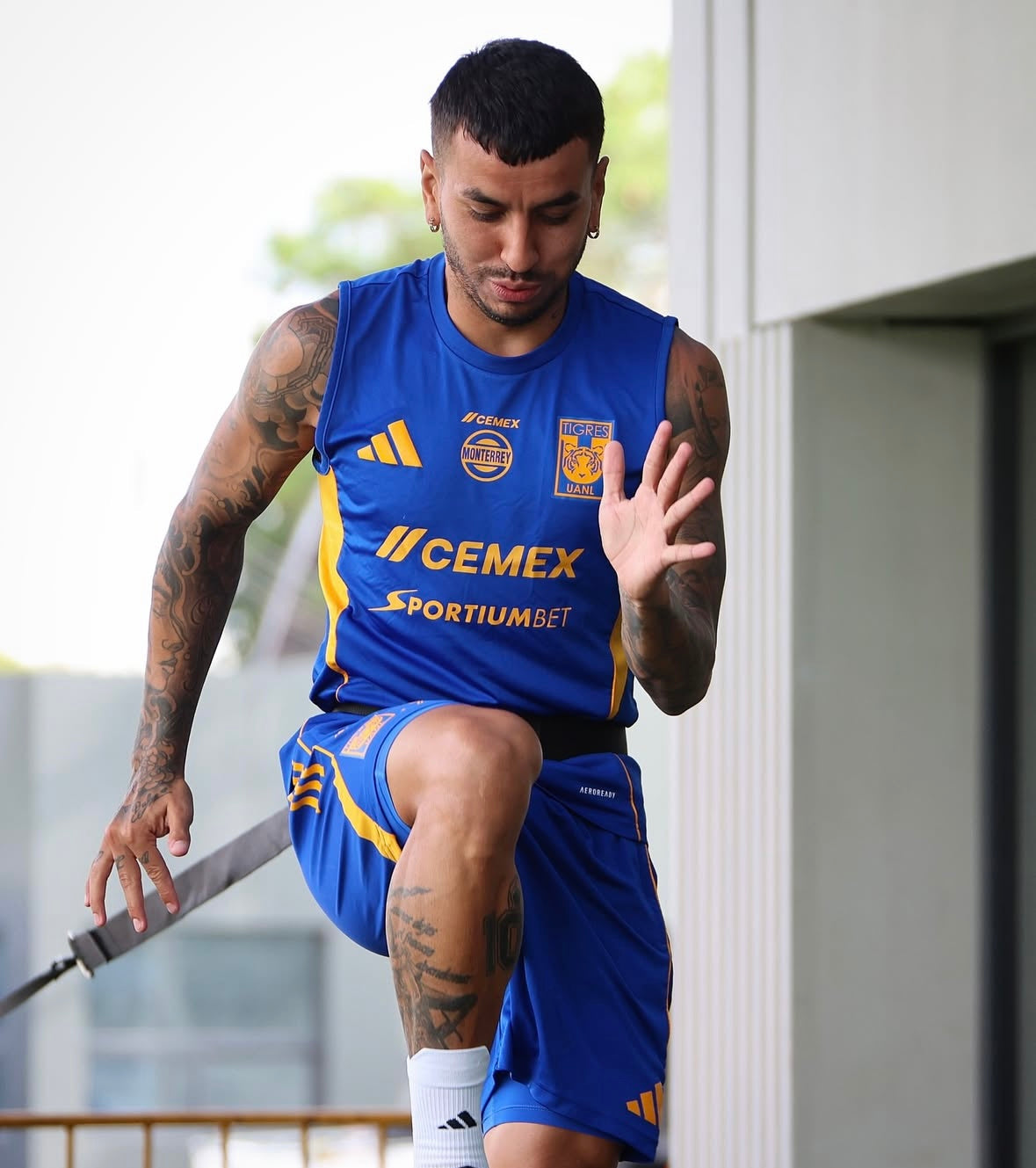 Kit de Concentración Tigres UANL sin mangas